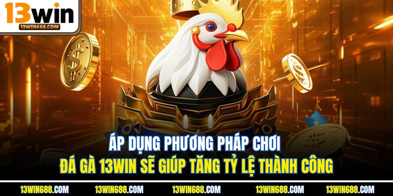 Áp dụng phương pháp chơi đá gà 13WIN sẽ giúp tăng tỷ lệ thành công