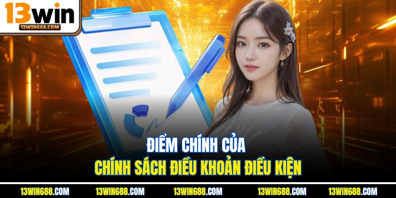 Điểm chính của chính sách điều khoản điều kiện