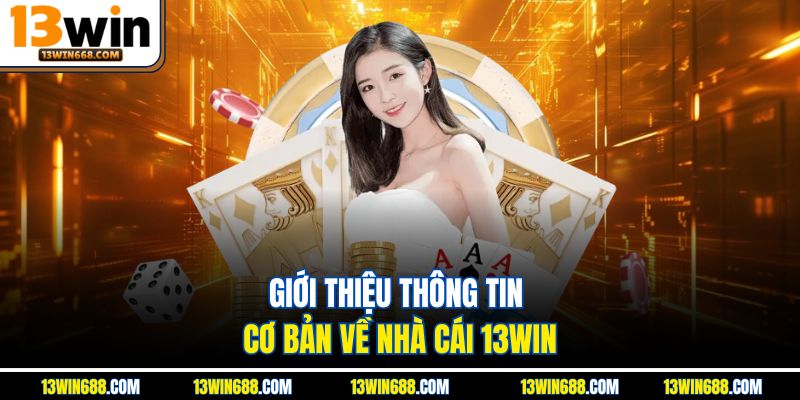 Giới thiệu thông tin cơ bản về nhà cái 13WIN.