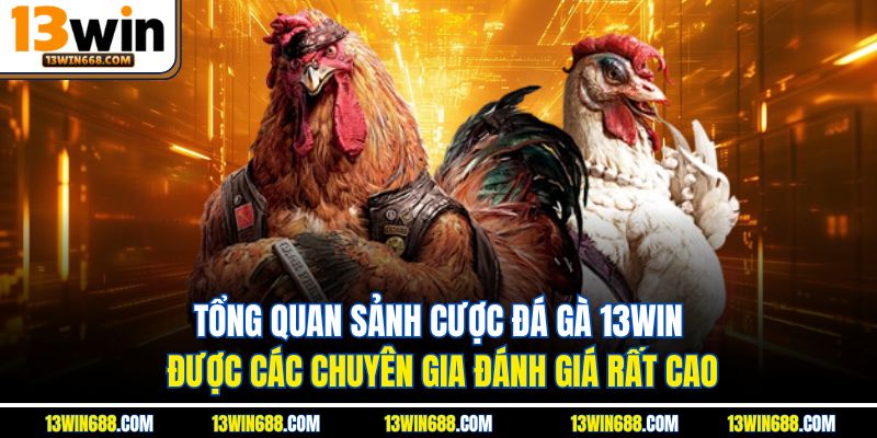 Tổng quan sảnh cược đá gà 13WIN được các chuyên gia đánh giá rất cao